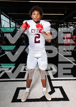 CY_FAIR_0705-(BROWN)