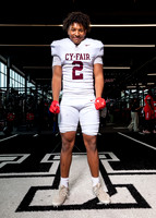 CY_FAIR_0706-(BROWN)