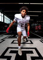 CY_FAIR_0709-(BROWN)