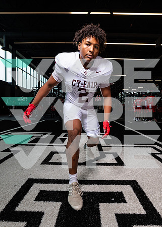 CY_FAIR_0709-(BROWN)