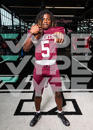 CY_FAIR_0716-(BROWN)