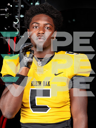 KLEIN_OAK_390-(POWELL)