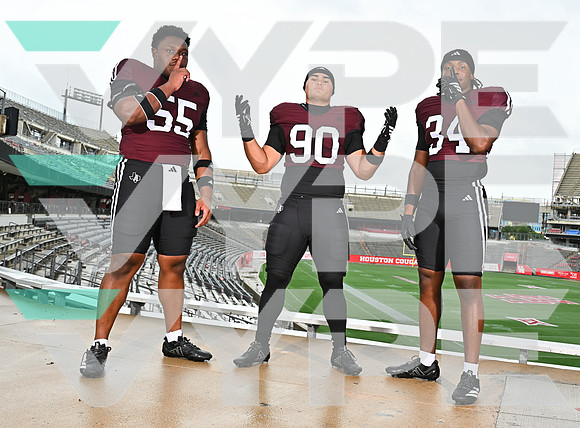 PEARLAND_3199-(SHEEREN)