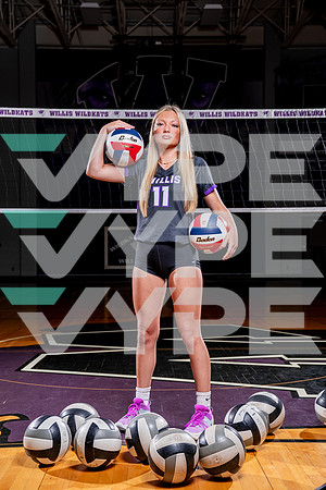 WILLIS_VB-(COLLIER)-31