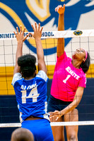 19-ALDINE_NIMITZ_VB__Dillensia Clebourn, Shaela Mosby-(BCC)