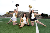 ALIEF_HASTINGS_A0257-(BROWN)
