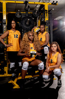 Volleyball