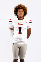 TOMBALL_HS_A0099-(BROWN)