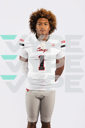TOMBALL_HS_A0099-(BROWN)