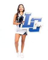 LC_255-(POWELL)