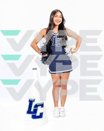 LC_260-(POWELL)
