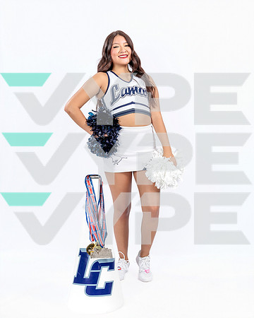 LC_263-(POWELL)