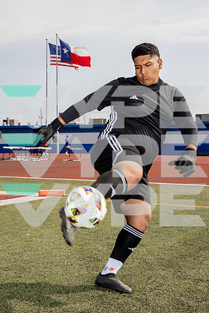 ALDINE_SOC-(BROWN)-626