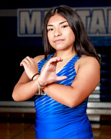 ALDINE_HS_245-(POWELL)