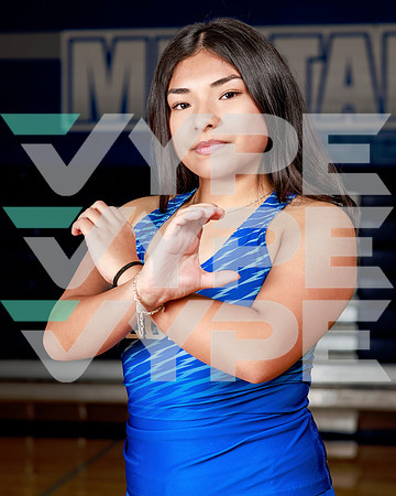 ALDINE_HS_245-(POWELL)