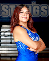ALDINE_HS_252-(POWELL)