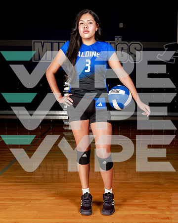 ALDINE_HS_204-(POWELL)