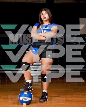 ALDINE_HS_209-(POWELL)