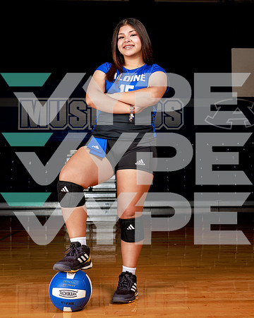 ALDINE_HS_210-(POWELL)