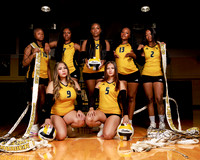 Volleyball