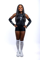 Volleyball