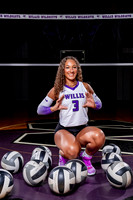 WILLIS_VB-(COLLIER)-12