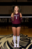 ROWLETT_32886-(BARTRAM)