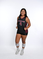 Volleyball