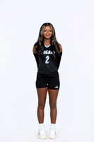 Volleyball