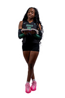 MAYDE_CREEK_0214-(BROWN)