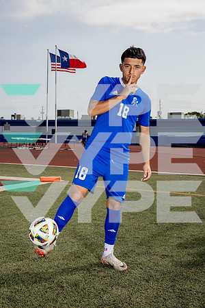ALDINE_SOC-(BROWN)-597