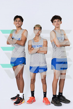 BREWER_HS_38290-(BARTRAM)