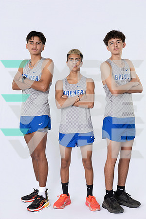 BREWER_HS_38291-(BARTRAM)