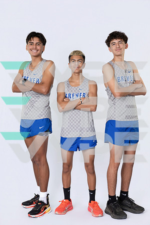 BREWER_HS_38292-(BARTRAM)