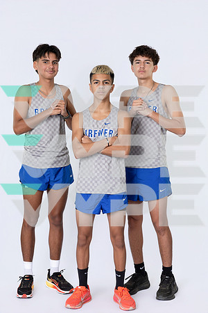 BREWER_HS_38294-(BARTRAM)