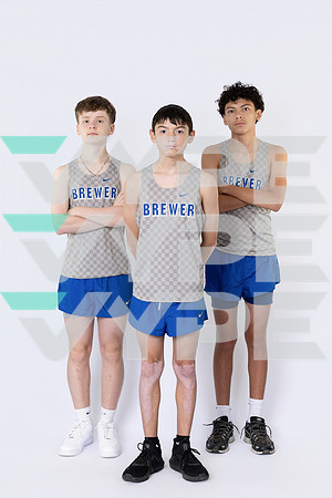 BREWER_HS_38296-(BARTRAM)