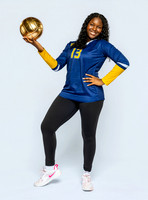 Volleyball