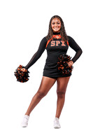 913A2033-ST_PIUS_X-(BROWN)