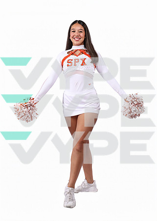 913A2060-ST_PIUS_X-(BROWN)