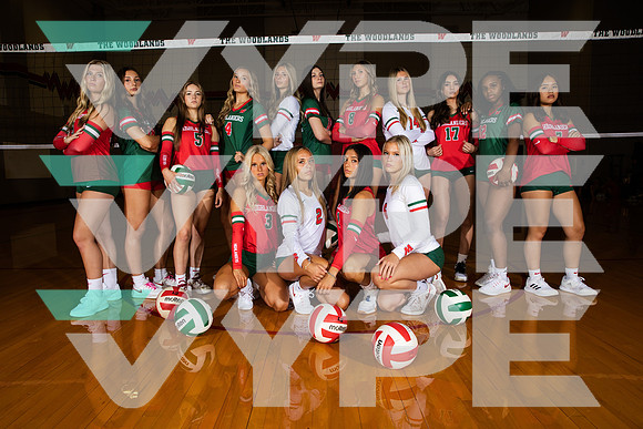 0F9A0304-WOODLANDS_VOLLEYBALL-(BROWN)