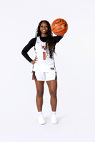 KBR47282-ROCKWALL_BB-(BARTRAM)