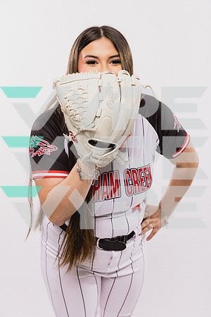 LANGHAM CREEK_SFBL-(BROWN)-182