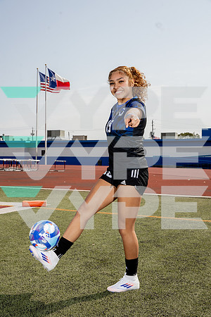 ALDINE_GSOC-(BROWN)-508