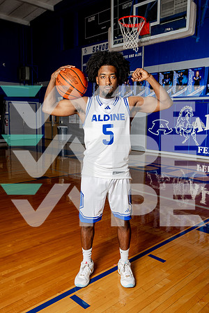 ALDINE_BB-(BROWN)-434
