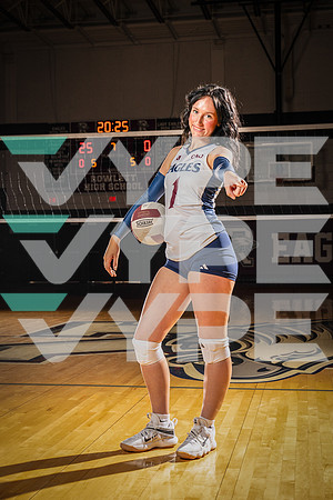 ROWLETT_VB_00133-(COLLIER)