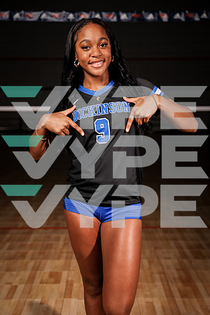 DICKINSON_VB_0F9A7666-(BROWN)