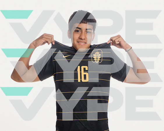 KLEIN OAK_SOC-(COLLIER)-00597