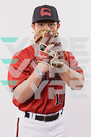 LANGHAM CREEK_BSBL-(BROWN)-282