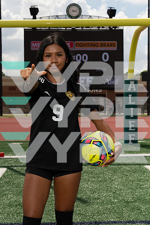 HASTINGS_GSOC_00508-(COLLIER)