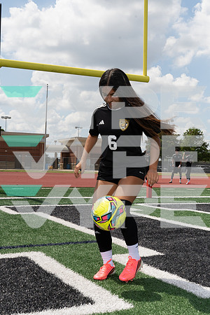 HASTINGS_GSOC_00500-(COLLIER)